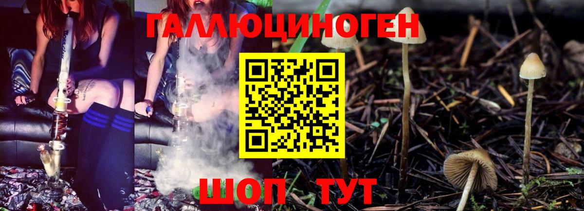 Псилоцибиновые грибы Psilocybe  Вход с VPN  Воскресенск 